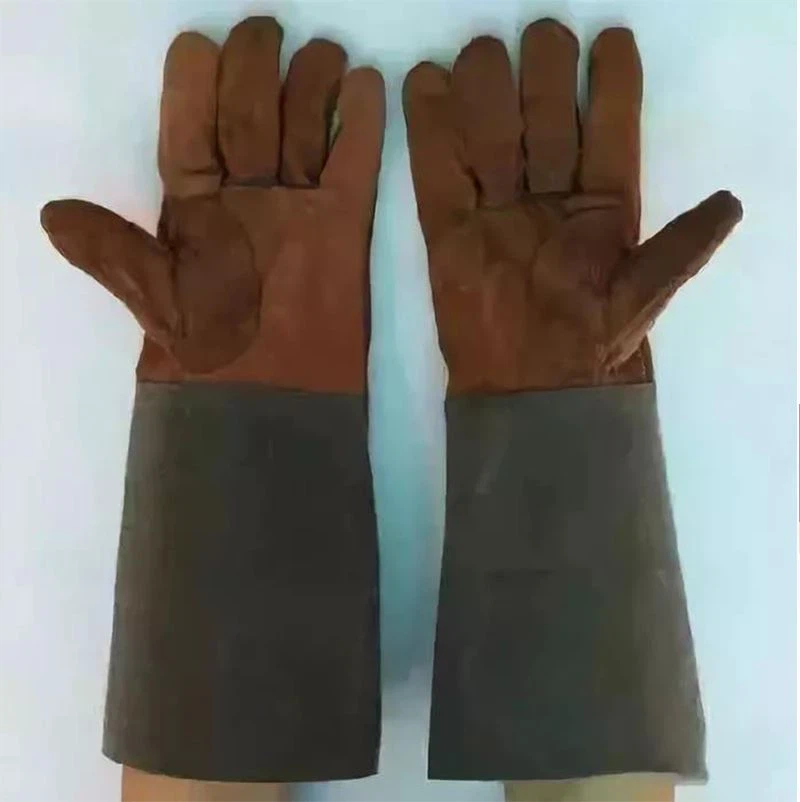 5 5
